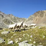Wallis By Interhome Sölden