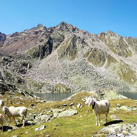 Wallis By Interhome 아파트 *